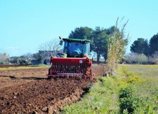 Primo maggio, terra e dignità: maratona online su lavoro e agricoltura ai tempi del Covid