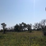 Lecce blindata e silenziosa: le immagini dei droni in azione. La Pasqua più anomala di sempre - Corriere Salentino