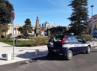 Multa di 166,70 euro perché il bambino dava cibo ai piccioni? La replica della polizia locale di Lecce: “Bambino non coinvolto, padre buttava organico a terra”