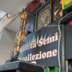 Doppio raid dopo il rogo doloso, non c’è pace per i salentini bloccati in India (che stanno tornando a casa) - Corriere Salentino