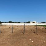 Blitz notturni per rubare barbatelle e pali da vigneti, Coldiretti Puglia: "Gli agricoltori costretti a fare ronde notturne" - Corriere Salentino