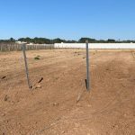 Blitz notturni per rubare barbatelle e pali da vigneti, Coldiretti Puglia: "Gli agricoltori costretti a fare ronde notturne" - Corriere Salentino