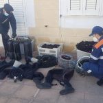 Ricci raccolti nell’area protetta per imbandire le tavole per le festività pasquali, blitz e denunce - Corriere Salentino