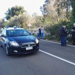 Travolto da un ramo mentre pota gli alberi, trasportato d'urgenza in ospedale con "codice rosso" - Corriere Salentino
