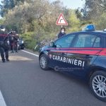 Travolto da un ramo mentre pota gli alberi, trasportato d'urgenza in ospedale con "codice rosso" - Corriere Salentino