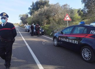 Travolto da un ramo mentre pota gli alberi, trasportato d’urgenza in ospedale con “codice rosso”