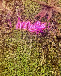 Imprenditori della moda affondati dal covid-19, con affitti da 6100 al mese. “Abbandonati dallo Stato” - Corriere Salentino