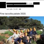 “Patatavirus”, atto II: per i braccianti arrivano le mascherine. Ma altrove si abbracciano alla fine del raccolto - Corriere Salentino