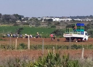Caporalato e sfruttamento nei campi, scattano i controlli: 35 aziende su 43 non in regola