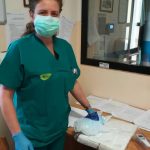 Distribuite le mascherine donate all’Ordine dei Medici dal professor Wei Xiang - Corriere Salentino