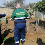 Allevamento abusivo nei campi, sequestrati 260 esemplari di volatili e 9 tartarughe - Corriere Salentino