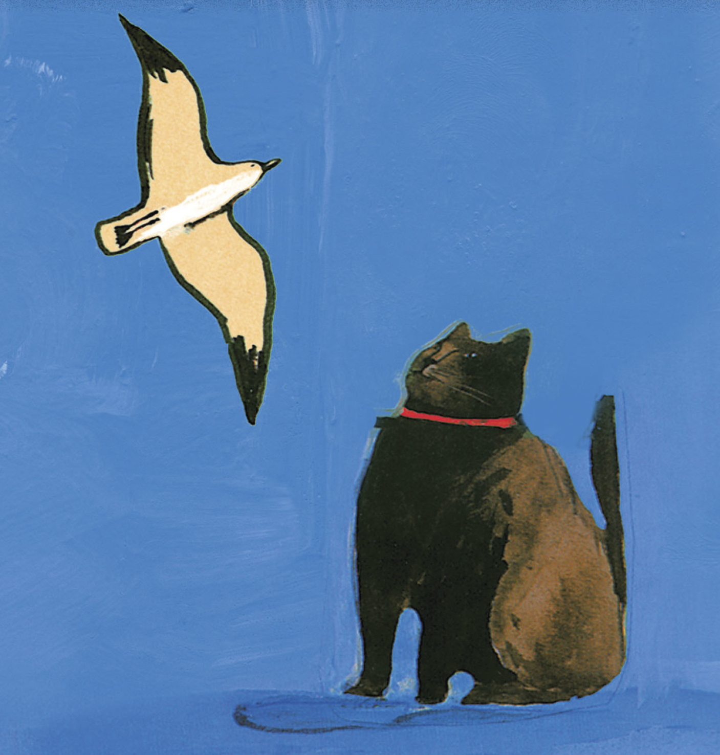Un libro a settimana: “Storia di una gabbianella e del gatto che le insegnò  a volare” di Luis Sepúlveda - Corriere Salentino Lecce