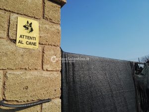 Tragedia in casa: azzannato dal cane di famiglia muore bimbo di pochi mesi - Corriere Salentino