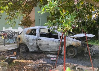 Misterioso incendio: in fumo una Punto nel giardino di una villetta al mare