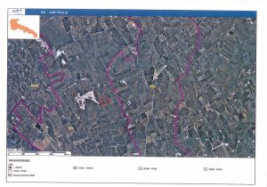 Un impianto pubblico di compostaggio a Lecce con project financing: ci prova Anaenergia - Corriere Salentino