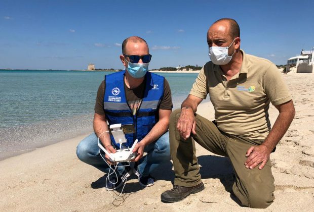 Amp Porto Cesareo e Torre Guaceto: impegno sinergico sulle coste sabbiose a tutela delle Caretta caretta - Corriere Salentino