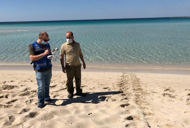 Amp Porto Cesareo e Torre Guaceto: impegno sinergico sulle coste sabbiose a tutela delle Caretta caretta - Corriere Salentino