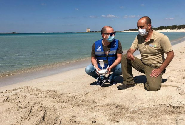 Amp Porto Cesareo e Torre Guaceto: impegno sinergico sulle coste sabbiose a tutela delle Caretta caretta - Corriere Salentino