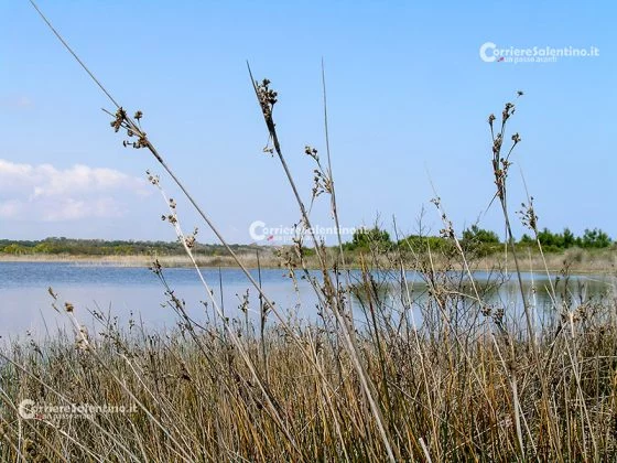 Alla scoperta del Salento: Le Cesine - Corriere Salentino
