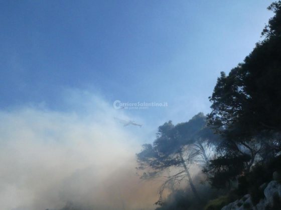 Fuoco sulle coste salentine: fiamme divorano ettari di vegetazione. Canadair in azione - Corriere Salentino