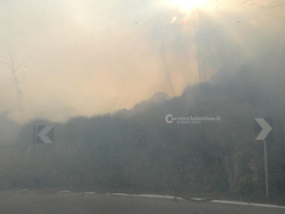 Fuoco sulle coste salentine: fiamme divorano ettari di vegetazione. Canadair in azione - Corriere Salentino