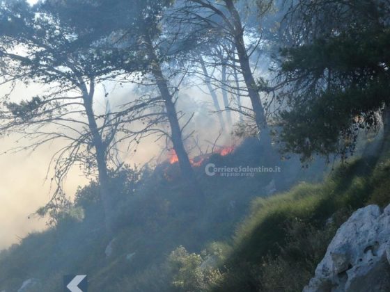 Fuoco sulle coste salentine: fiamme divorano ettari di vegetazione. Canadair in azione - Corriere Salentino