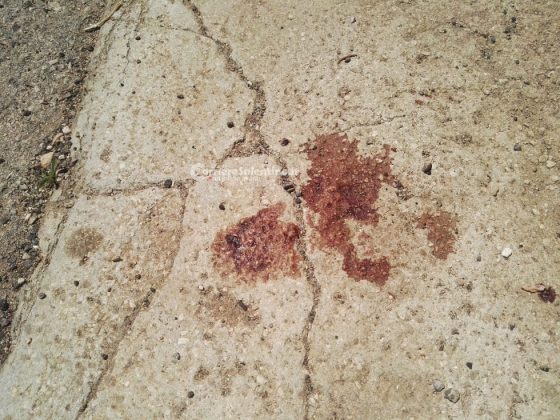 Colpita dallo specchietto di un'apecar, 69enne cade e finisce in ospedale. Conducente rintracciato dalla targa - Corriere Salentino