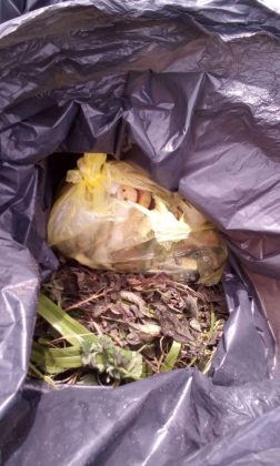 Ispettori ambientali in azione a Nardò, altri 1500 euro di multe per abbandono di rifiuti - Corriere Salentino