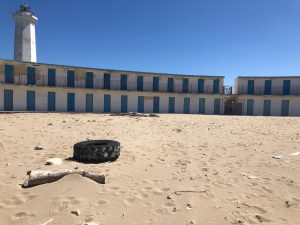 “Alcune zone delle marine leccesi abbandonate a se stesse e ai rifiuti”. La Lega chiede interventi urgenti - Corriere Salentino