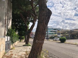 Marciapiedi devastati da anni in viale G.Rossini. Delli Noci rassicura: “Nuovi interventi a breve” - Corriere Salentino