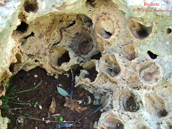 Alla scoperta del Salento: geomorfologia e carsismo (prima parte) - Corriere Salentino