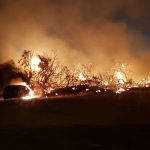 Paura sul lungomare: si scatena incendio nella pineta. A rischio case e auto - Corriere Salentino