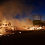 Paura sul lungomare: si scatena incendio nella pineta. A rischio case e auto - Corriere Salentino