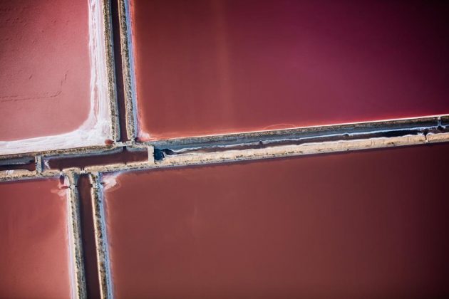 Al Carlo V di Lecce la mostra fotografica di Massimo Sestini “L’Aria del Tempo” - Corriere Salentino