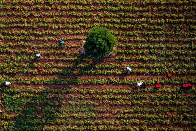 Al Carlo V di Lecce la mostra fotografica di Massimo Sestini “L’Aria del Tempo” - Corriere Salentino