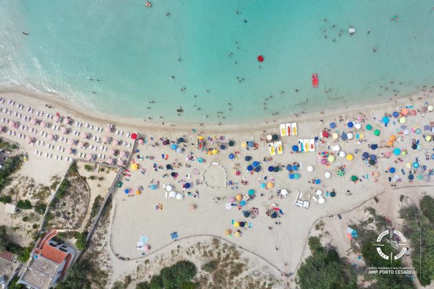 Tartaruga Caretta Caretta nidifica sul litorale ionico: è la prima volta del 2020. Sito messo in sicurezza - Corriere Salentino