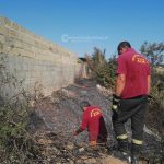 Il rogo si estende anche in un frantoio, fuoco e danni alla periferia del paese - Corriere Salentino