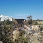 Il rogo si estende anche in un frantoio, fuoco e danni alla periferia del paese - Corriere Salentino