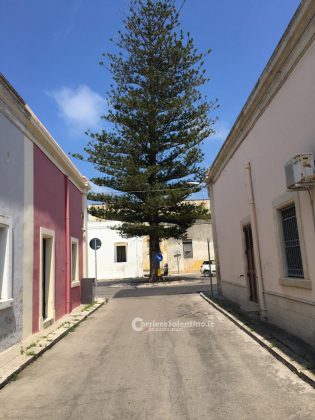 Alla scoperta del Salento: Frigole - Corriere Salentino