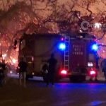 Paura sul lungomare: si scatena incendio nella pineta. A rischio case e auto - Corriere Salentino