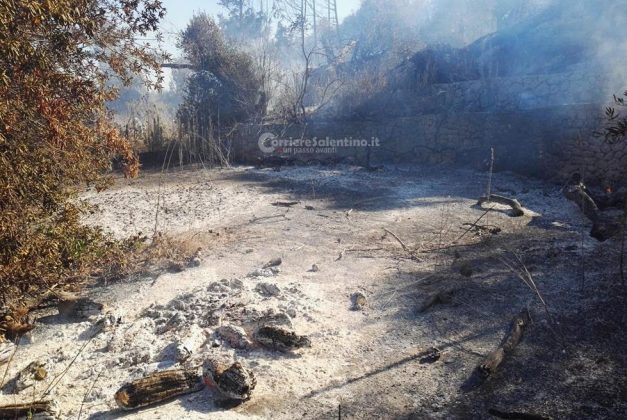 Inferno di fuoco nel Basso Salento: evacuate case invase dal fumo. Canadair in azione - Corriere Salentino
