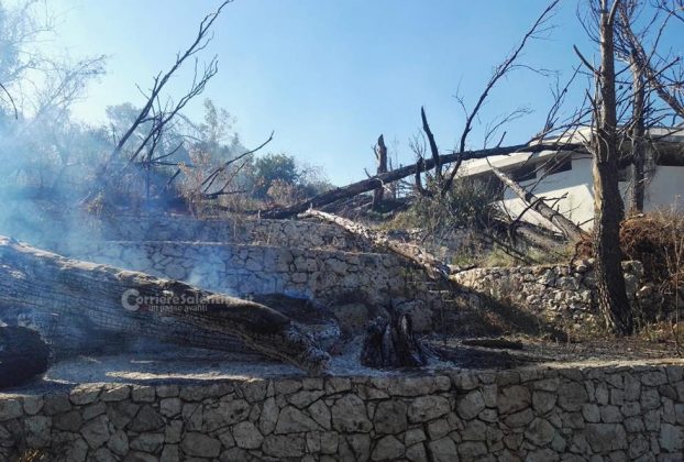 Inferno di fuoco nel Basso Salento: evacuate case invase dal fumo. Canadair in azione - Corriere Salentino