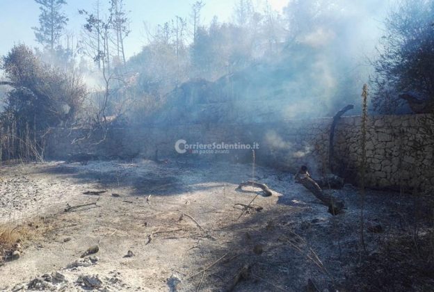 Inferno di fuoco nel Basso Salento: evacuate case invase dal fumo. Canadair in azione - Corriere Salentino