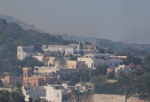 Inferno di fuoco nel Basso Salento: evacuate case invase dal fumo. Canadair in azione - Corriere Salentino