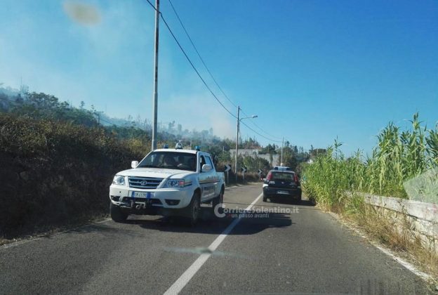 Inferno di fuoco nel Basso Salento: evacuate case invase dal fumo. Canadair in azione - Corriere Salentino