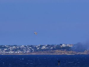 Forti raffiche di vento ed il fuoco si estende: vasto incendio minaccia case. Intervengono canadair - Corriere Salentino