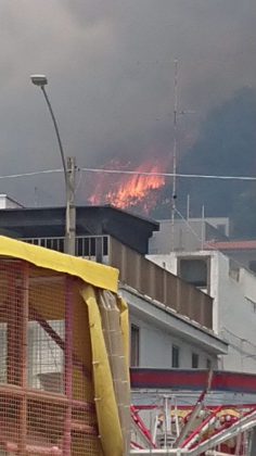 Forti raffiche di vento ed il fuoco si estende: vasto incendio minaccia case. Intervengono canadair - Corriere Salentino
