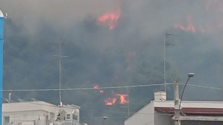 Forti raffiche di vento ed il fuoco si estende: vasto incendio minaccia case. Intervengono canadair - Corriere Salentino