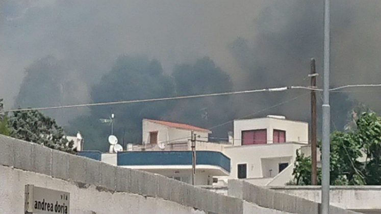 Forti raffiche di vento ed il fuoco si estende: vasto incendio minaccia case. Intervengono canadair - Corriere Salentino