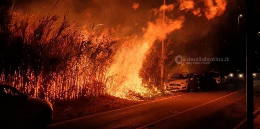 Divampa rogo alla Montagna Spaccata, il fuoco sfiora le auto parcheggiate sulla provinciale - Corriere Salentino